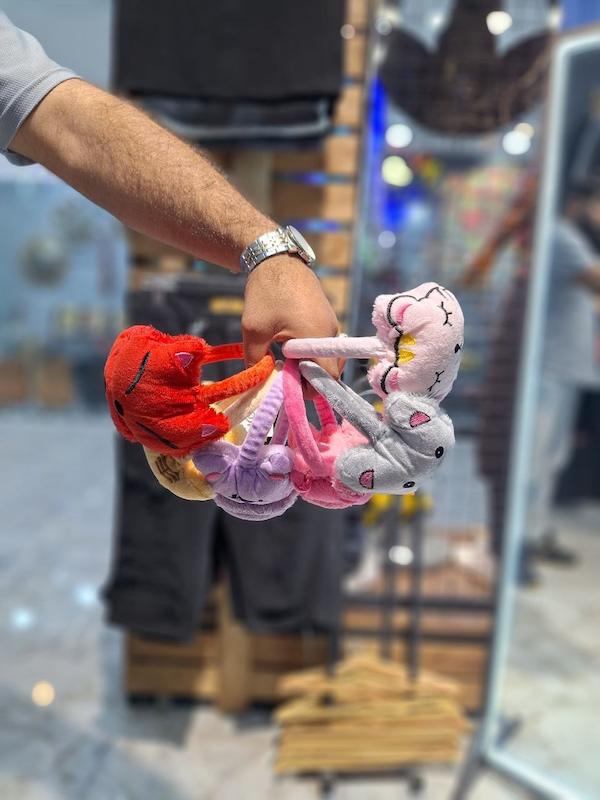 گوشگیر فانتزی