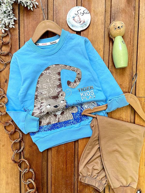 ست گربه ۱۶۸۵