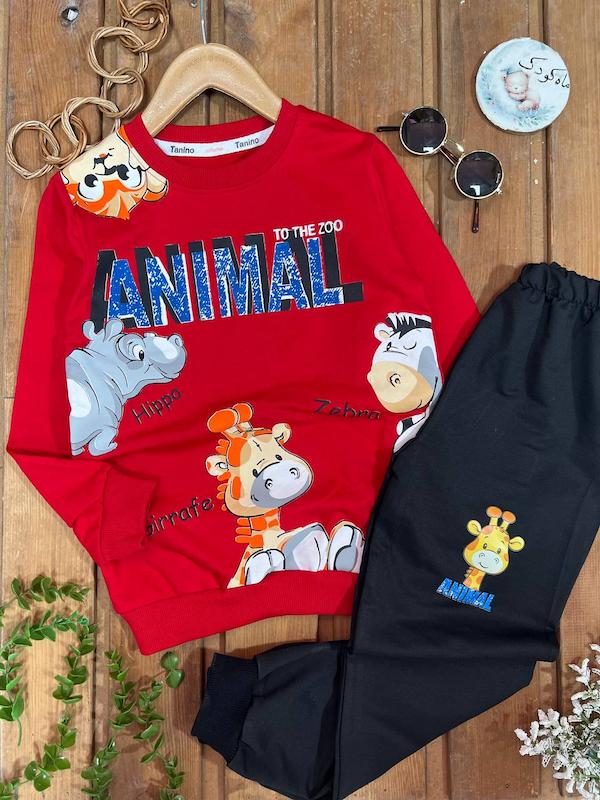 ست متین۱۴۱۵