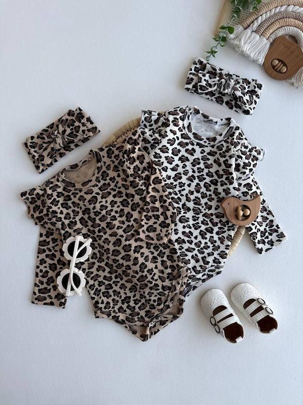 بادی پلنگی ۱۷۰۹