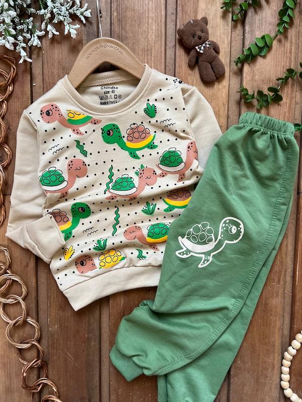 ست لاک پشت لاکپشت ۱۸۲۳