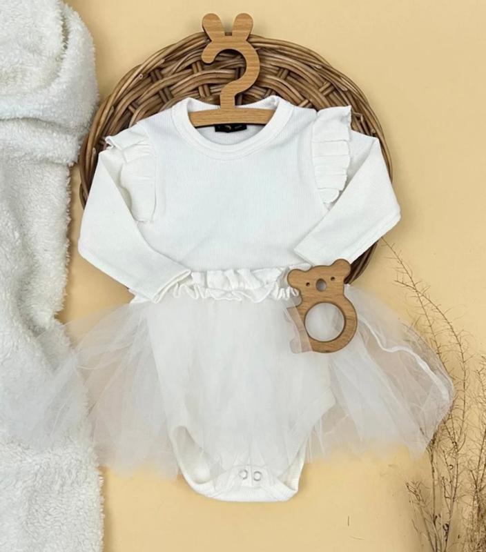 بادی توری ۱۸۳۶