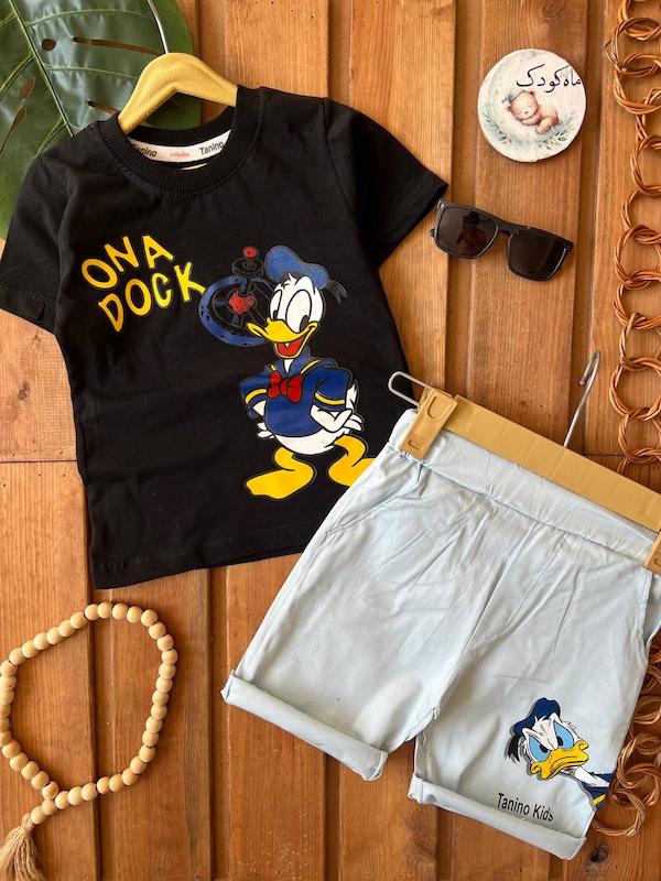 ست اردک ۱۳۱۰