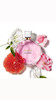 عطر ادکلن شنل چنس تندر _ چنل | Chanel Chance Eau Tendre _ خنک _ شیرین _ زنانه _ حجم  15 میل _ گرید تاپ _  اکسترا پرفیوم _ برند لوزی _ ماندگاری بسیار بالا