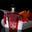 عطر ادکلن کازاموراتی زرجوف بوکت ایده آل _ زرجوف بوکت آیدیل _ زرجوف بوکت ایدل | Xerjoff Casamorati Bouquet Ideale _ زنانه _ گرم _ شیرین _ حجم 100 میل _ گرید تاپ _ اکسترا پرفیوم _ برند لوزی گرمی _ ماندگاری بسیار بالا