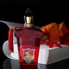 عطر ادکلن کازاموراتی زرجوف بوکت ایده آل _ زرجوف بوکت آیدیل _ زرجوف بوکت ایدل  | Xerjoff Casamorati Bouquet Ideale _ زنانه _ گرم _ شیرین _ حجم 100 میل _ گرید تاپ _ پرفیوم _ برند لوزی گرمی _ ماندگاری بالا