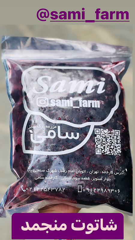 شاتوت منجمد یک کیلو 