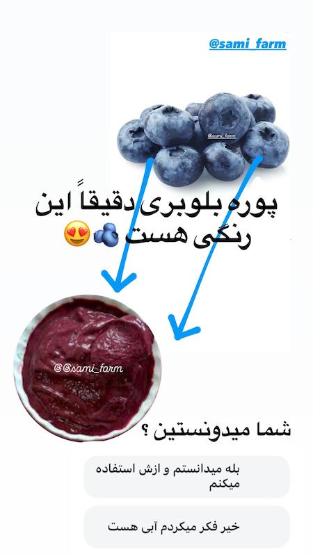 پوره بلوبری کیلویی ۹۵۰ تومان ( بسته ۱/۵ کیلویی)