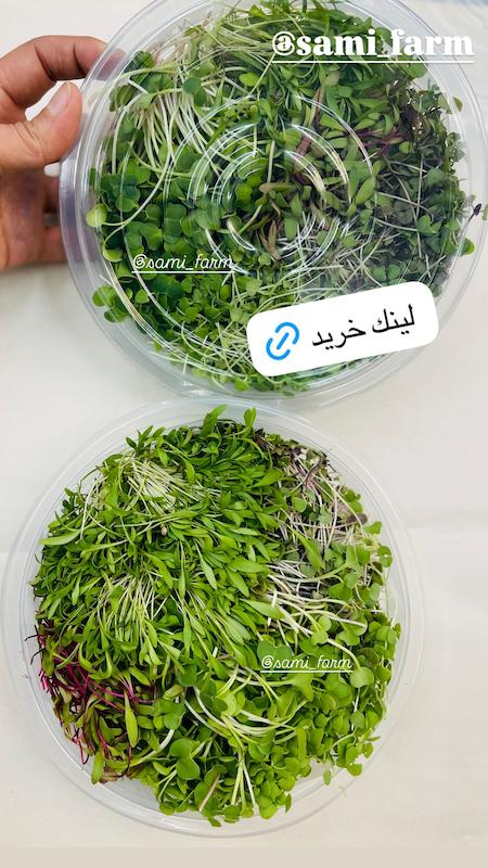 میکرو گرین بسته بزرگ میکس ( چیده شده )