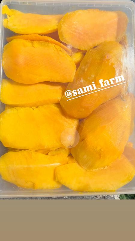 فیله انبه منجمد کیلویی۴۵۵ت( حداقل خرید ۵۰ کیلو)