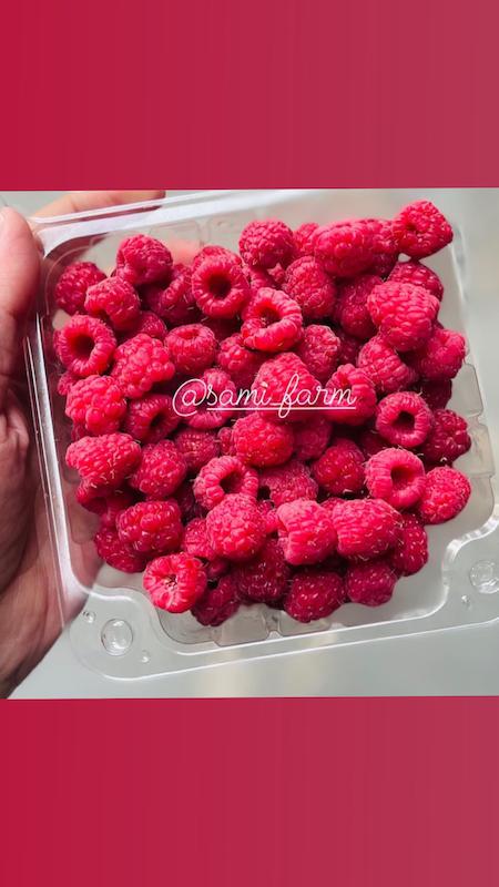 رازبری منجمد درجه یک بسته ای ۱۹۵ت(حداقل خريد ٤٠٠ بسته)