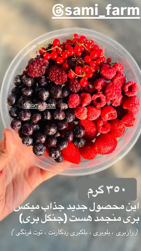 🍓ميكس ميوه های بری( رازبری ، بلوبری ، بلکبری، ردکارنت ، توت فرنگی )