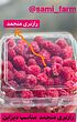 رازبری منجمد٢٠٠ گرمي ( مطابق ٢ بسته )