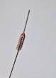 فیوز حرارتی 260 درجه 10A 250V (ترموفیوز 260 درجه)