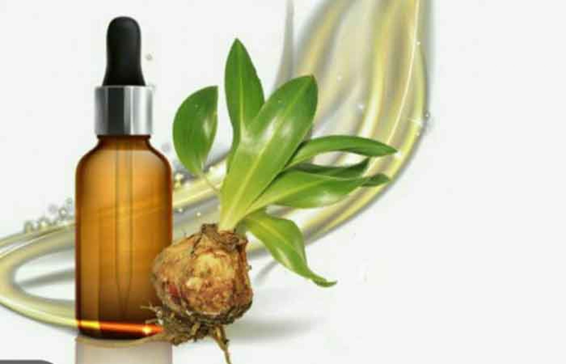 فایل دانلودی ورد خواص روغن پیاز عنصل