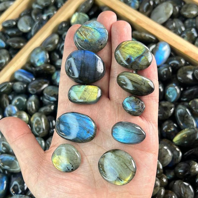 تامبل لابرادوریت AA