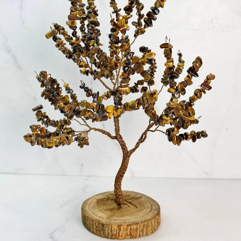 درختچه سنگ طبیعی چشم ببر