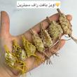 آویز سیترین