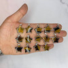 آویز ستاره چشم ببر