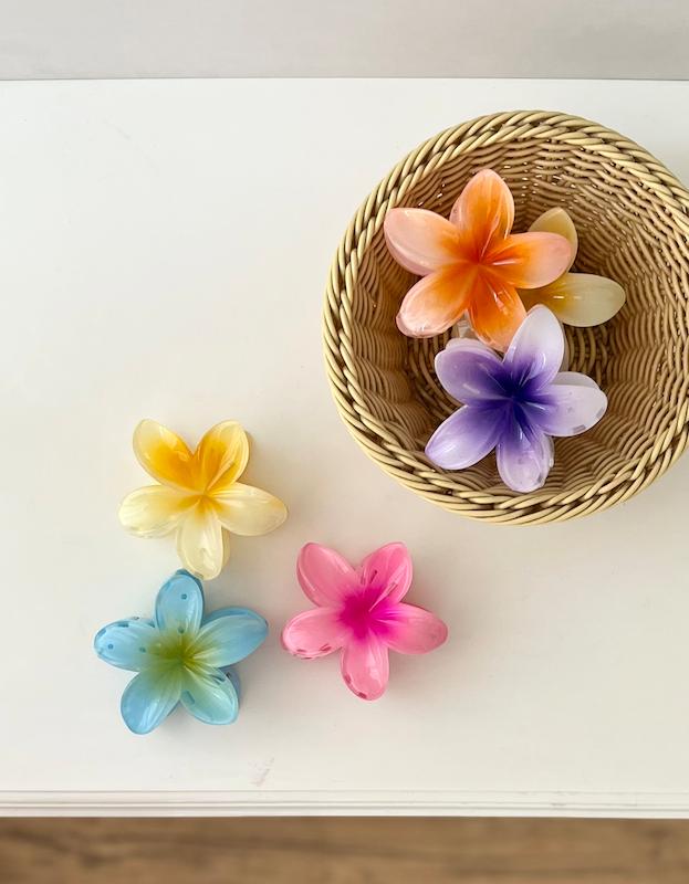 کلیپس / plumeria 