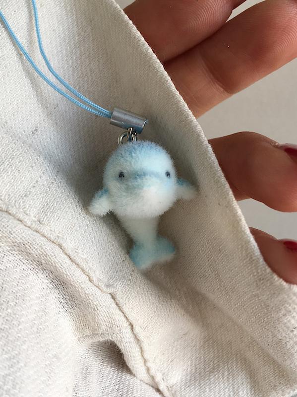 چارم دلفین نمک