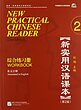 کتاب تمرین چینی (ورک بوک  نیو پرکتیکال چاینیز) New Practical Chinese Reader Vol 2 Workbook 2nd Edition