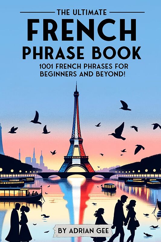 کتاب جملات فرانسوی The Ultimate French Phrase Book 1001 French Phrases for Beginners and Beyond