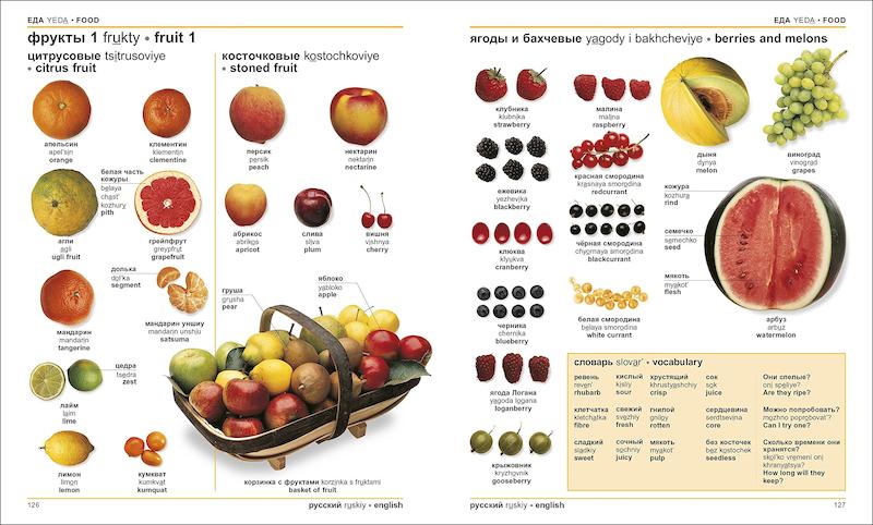 دیکشنری تصویری روسی انگلیسی Russian English Bilingual Visual Dictionary از فروشگاه کتاب سارانگ