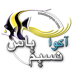 نسیم یاس