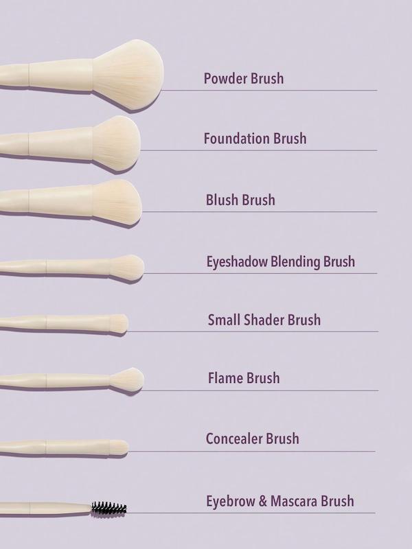 ست براش  Pro Core Brush Kit شیگلم