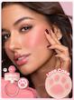 رژگونه استامپی شیگلم Cutie Paw رنگ 001 Love Cake