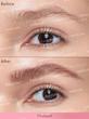 دیپ ابرو Brow-Fection Angled Brush & Dip شیگلم