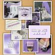 violet vibes - پک پوستر گلاسه 10 عددی