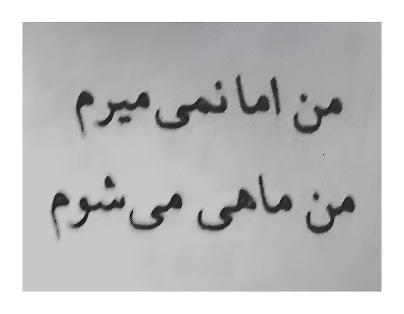پک فوتو کارت، استیکر و پاکت کاهی-5