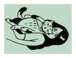 پک فوتو کارت، استیکر و پاکت کاهی 96