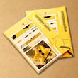 sunshine yellow - پک پوستر گلاسه 10 عددی