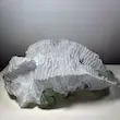 رو بالشتی یک‌بار مصرف SAIFULEI باز شده