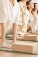 هاتا یوگا                                                                                                         Hatha Yoga Basics                   
