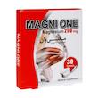 مگنی وان  Magni One