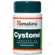 سیستون  Cystone