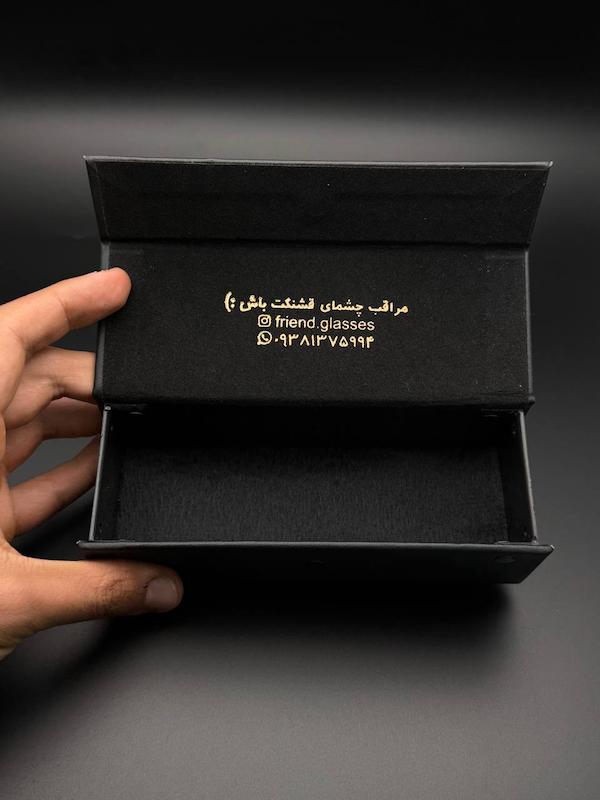 گارد مگنتی