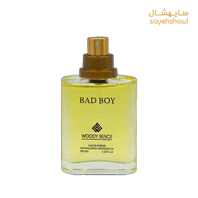 عطر مردانه بد بوی Bad Boy 