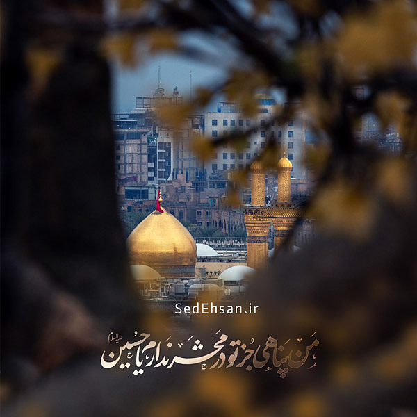 من پناهی جز تو در محشر ندارم یا حسین (ع)