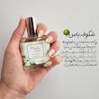 عطرهای میوه ایی روزانه MAIDEN ANNA