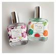 عطرهای میوه ایی روزانه MAIDEN ANNA
