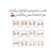 چسب سینه پنج متری BOOB TAPE 