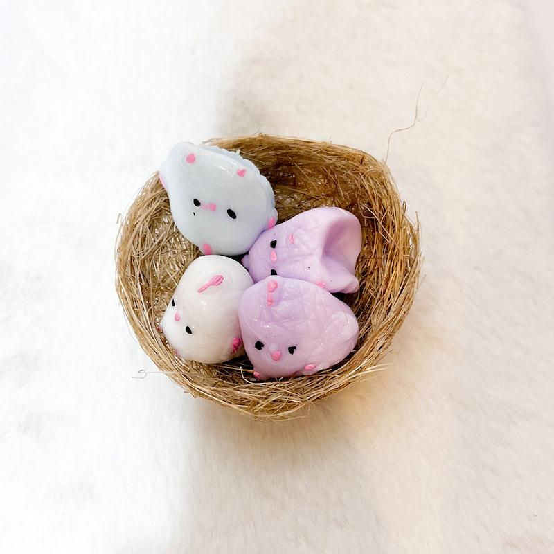 اسکوییشی جوجه