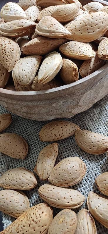 بادام سنگی/ Stone Almond