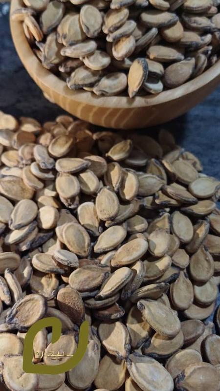 تخمه محبوبی برشته،watermelon seeds roasted