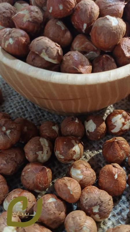 مغز فندق خام ایرانی